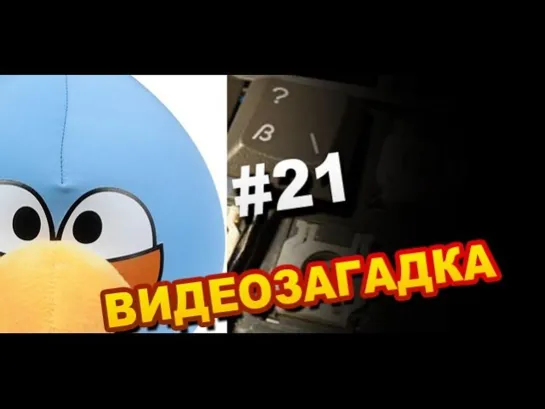 Видеозагадка #21 Что за птица?