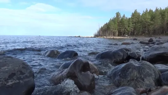 Этим летом меня ждет вода, небо и берег с соснами и берёзками