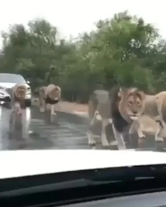 Кортеж не нужен, мы так пройдем