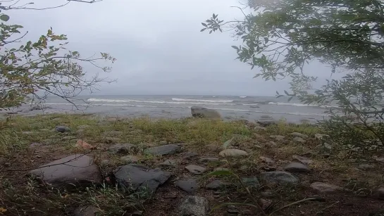 Видео для обдумывания сложных решений