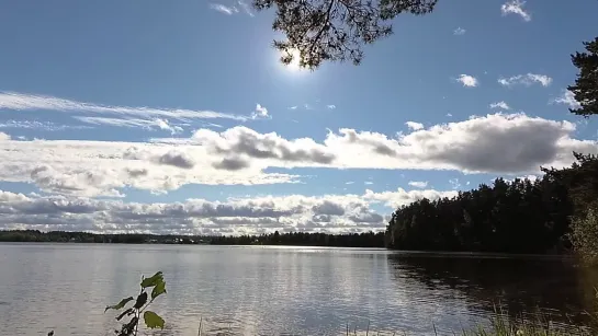 Видео со спокойной музыкой #relax