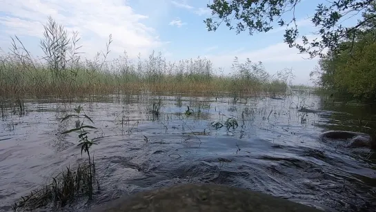 Видео для умиротворения и спокойного сна #relax