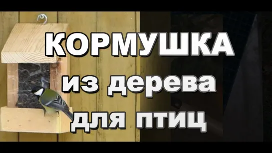 Как сделать бункерную кормушку для птиц с креплением на стену своими руками / Простые кормушки