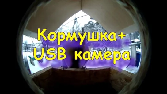 Как сделать кормушку для птиц с USB камерой своими руками / DIY поделки с ELP USB Webcam