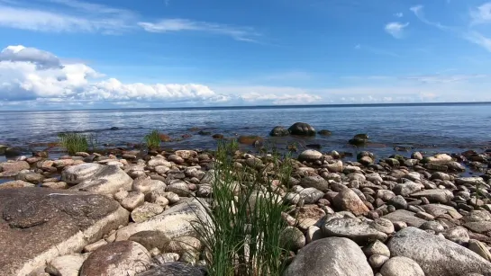 Волшебный плеск волн. Видео для отдыха и отхода ко сну #relax