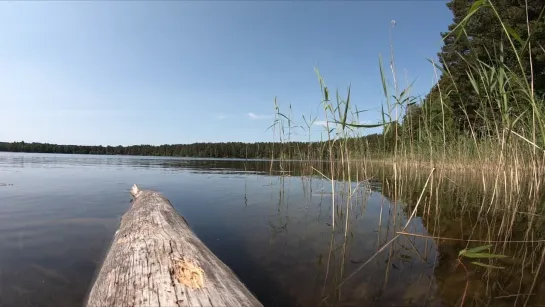 Расслабляющее видео для души и тела #relax