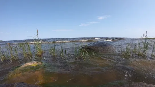 Успокаивающее видео с нежным плеском волн #relax