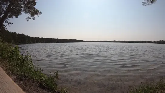 Теплый летний день. Чистое небо. Жизнь прекрасна