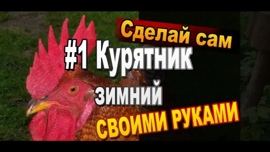 Сборка зимнего курятника своими руками. Первая часть