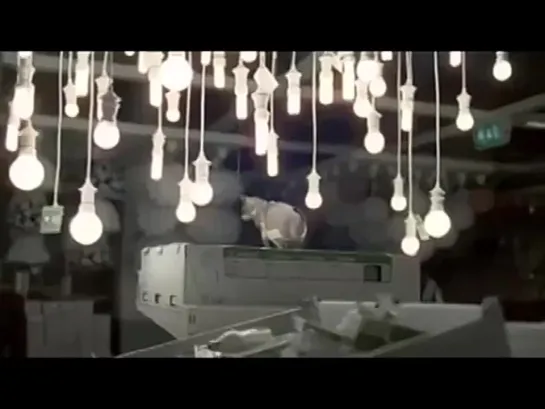 IKEA — Herding Cats