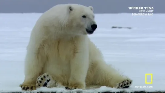 Национальные парки Америки - Gates of the Arctic 2015