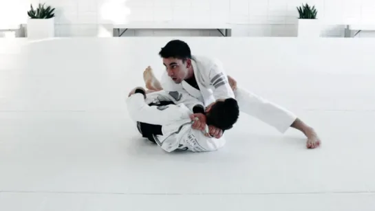 BASEBALL BAT CHOKE FROM HALF GUARD