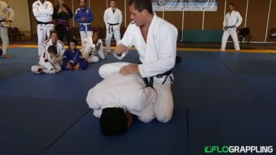 Roger Gracie Teaches Attacking A Turtled Opponent