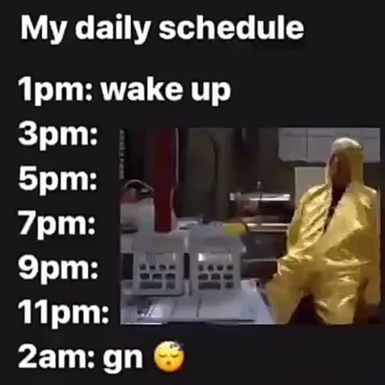 My daily schedule