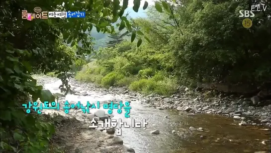 [ENGSUB] 140713 SBS Roommate Ep.11 Part 2