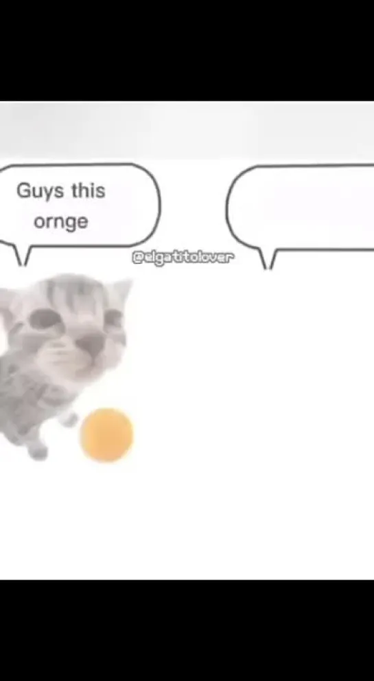 this ornge