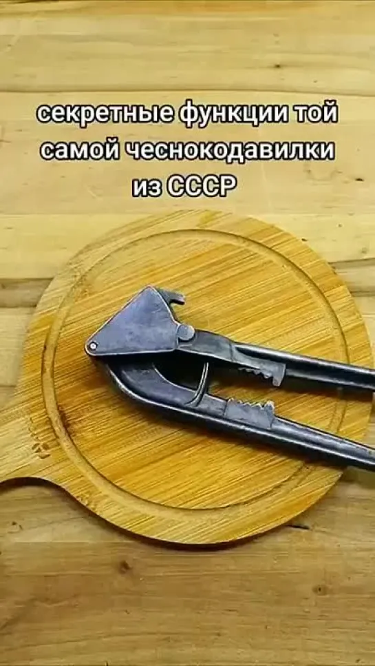 ЗЛОЙ РОГ