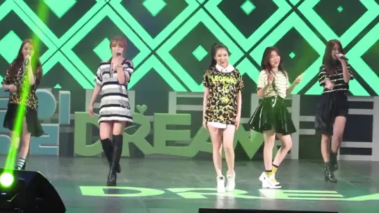 [fancam] 140902 4Minute - Hot Issue | EBS Reunification Dream Concert