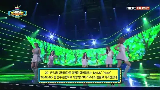 [140521] Apink on Show Champion -Mr. Chu