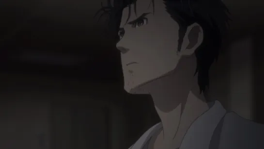 Врата Штайнера / Steins;Gate 15 RAW