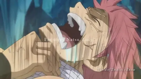 Fairy Tail; for those who endure  AMV