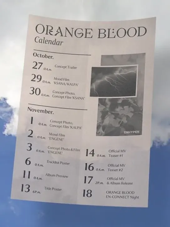 ORANGE BLOOD Promotion Calendar