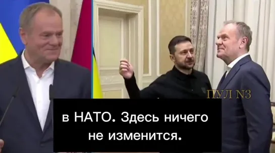 Премьер Польши Туск – о том, что принял бы Украину в НАТО за один день: Украина всегда могла рассчитывать на поддержку Польши, е