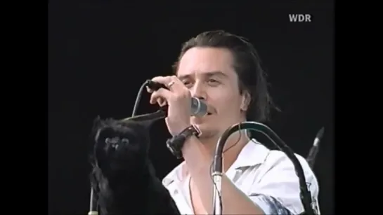 Мr. Bungle - Live at Bizarre Festival   ᴴᴰ  Cologne Germany 2000 (Mike Patton ex Faith No More) МR Bungle