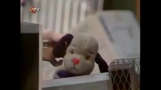 Sooty and Co S05E15 - Christmas Special 1997