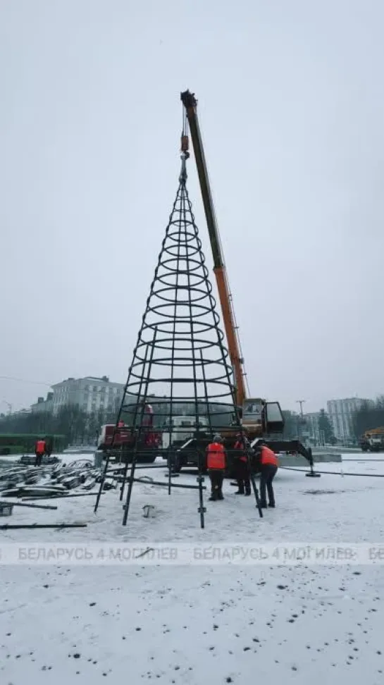 В МОГИЛЕВЕ СТАВЯТ ЕЛКУ!