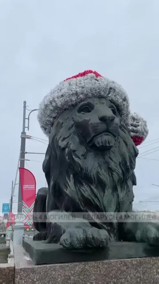 Львы на мосту им. Яшина в Могилеве уже надели новогодние шапочки!