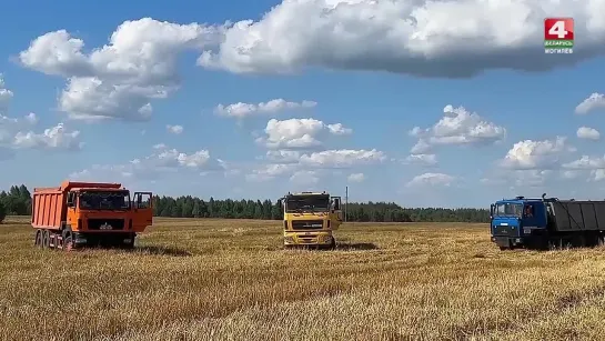 В Чаусском районе работает техника и люди из Могилева и Минской области