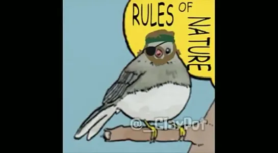 Metal Gear Bird Meme