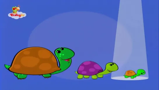 Tortoise  - Learning Animal Sounds and Names for Kids  Toddlers - BabyTV