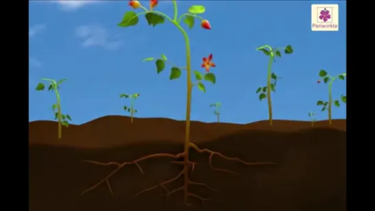 Our Amazing Planet Earth - Animated Video For Kids - Periwinkle