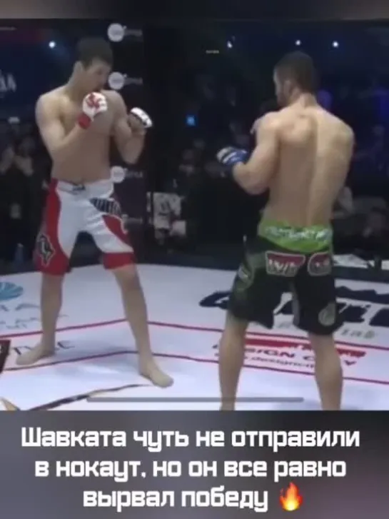 Видео от UFC / MMA MEDIA