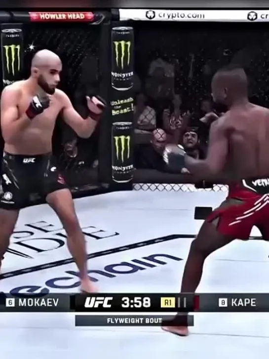 Видео от UFC / MMA MEDIA