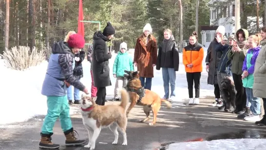 2022-03-26-Школа волонтеров-Лапу дай