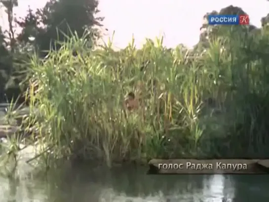 Радж Капур. Товарищ Бродяга