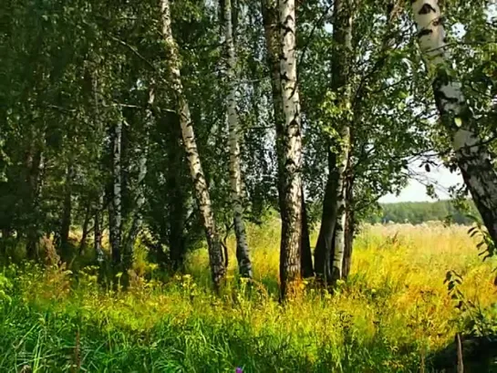 А я лягу прилягу.Анатолий Торбеев