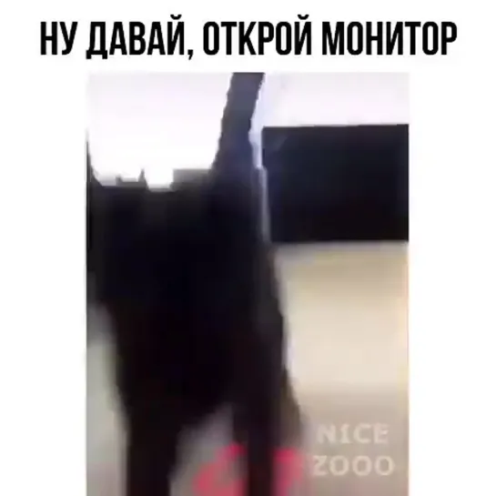 Открой монитор