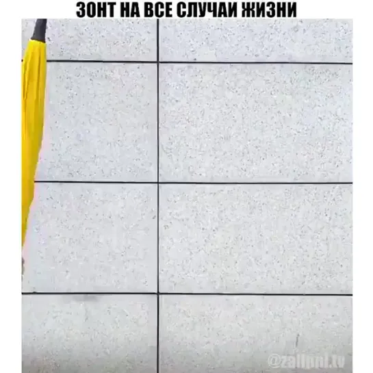 Зонт на все случаи