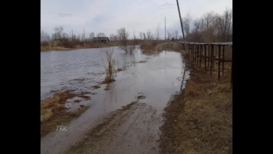 В ближайшее время ожидается подъём уровня воды в Оби