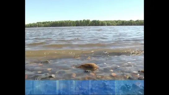 Вода в Оби медленно, но убывает