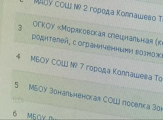 Интернет-сайты школ №№2 и 7 занимают высокие позиции в областном рейтинге