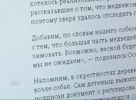 Медвежонок, обитающий в окрестностях д. Тискино, залёг в спячку