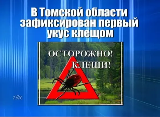 В Томской области уже зарегистрирован первый случай укуса клеща