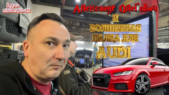 Волшебная пaлкa для AUDI ✅