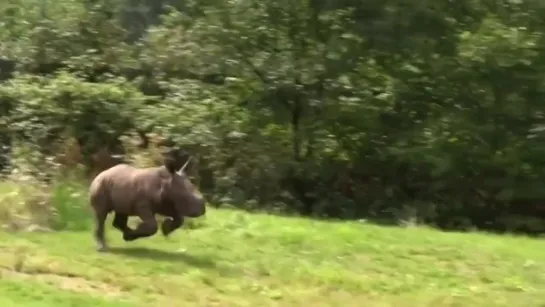 Видео от Сиди и Смотри