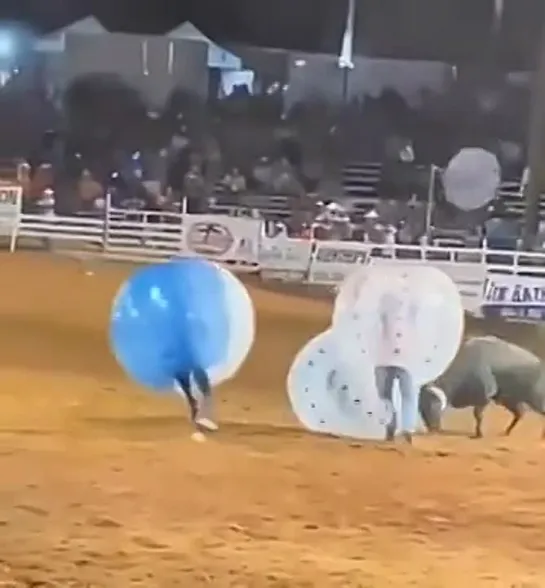 Видео от Сиди и Смотри